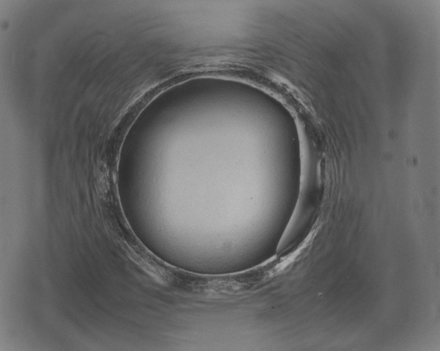 X0000074931449200609081314