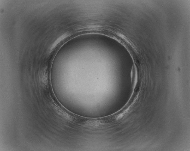 X0000074931450200609081314