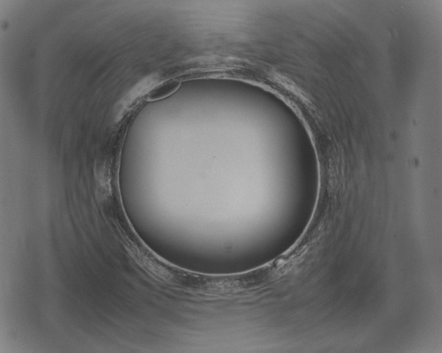 X0000074931451200609081314