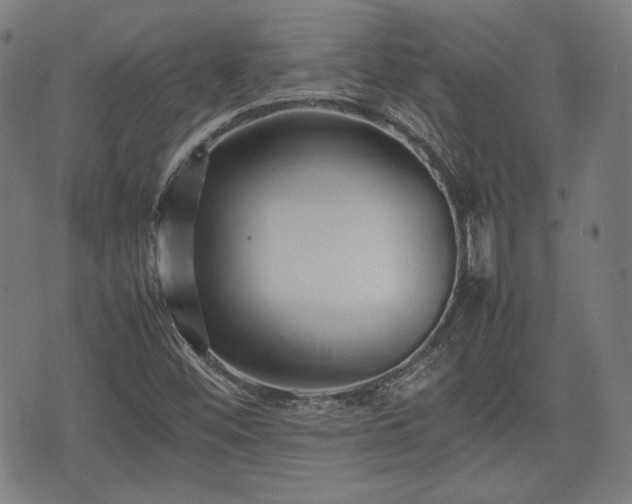 X0000074931452200609081314