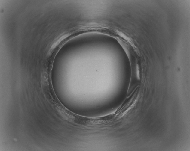 X0000074931453200609081314