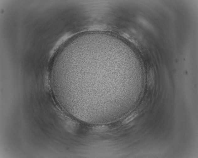 X0000074931454200609081314