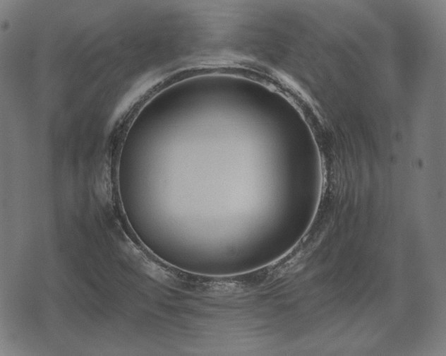 X0000074931456200609081314