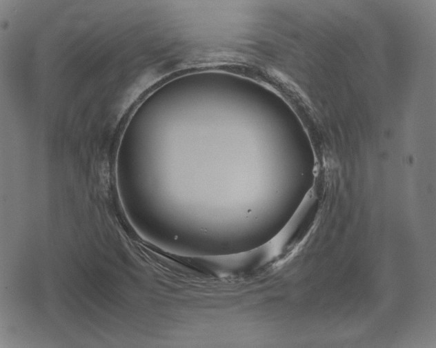 X0000074931457200609081314