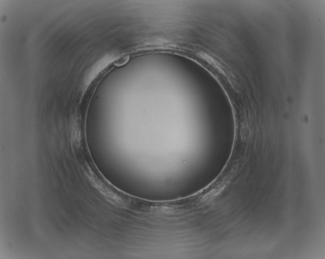 X0000074931458200609081314