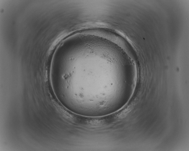 X0000074931459200609081314