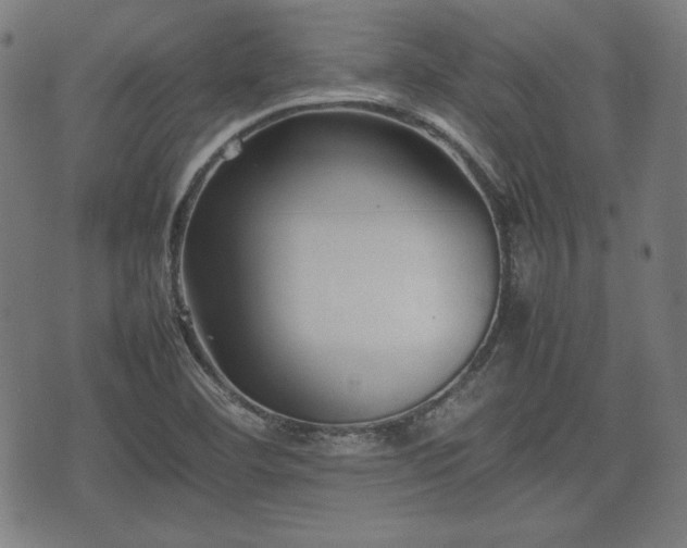 X0000074931460200609081313