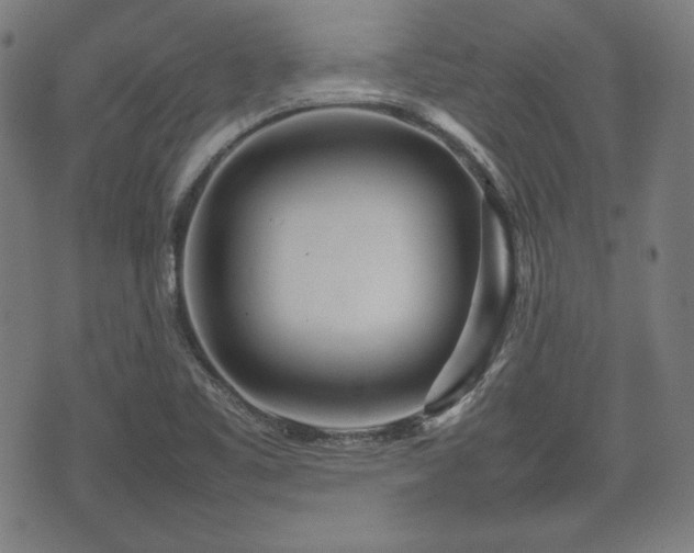 X0000074931461200609081313