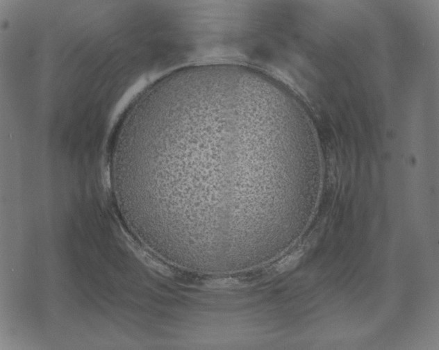 X0000074931462200609081313