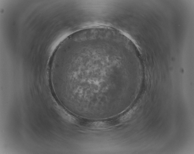 X0000074931463200609081313