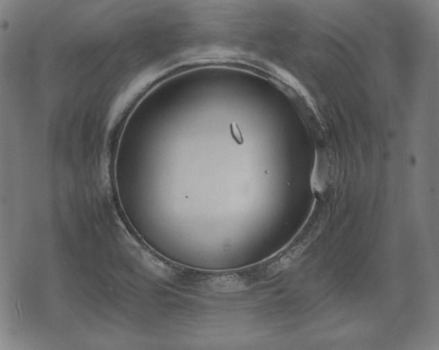 X0000074931464200609081313