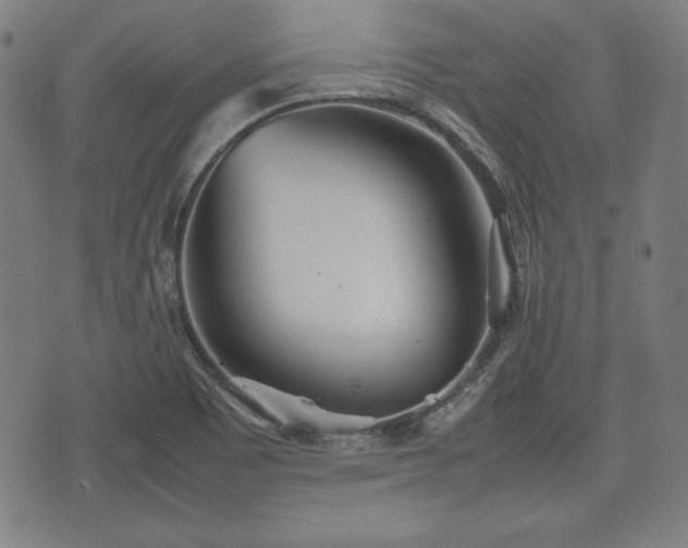 X0000074931465200609081313