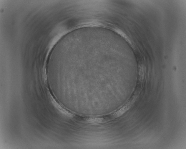 X0000074931466200609081313