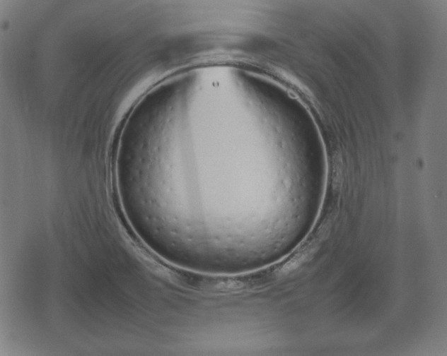 X0000074931467200609081313