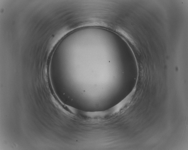 X0000074931468200609081313