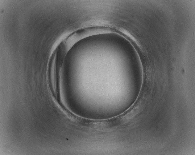 X0000074931469200609081313