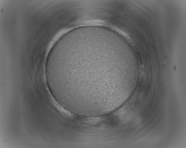 X0000074931470200609081313