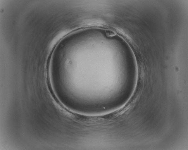 X0000074931471200609081313