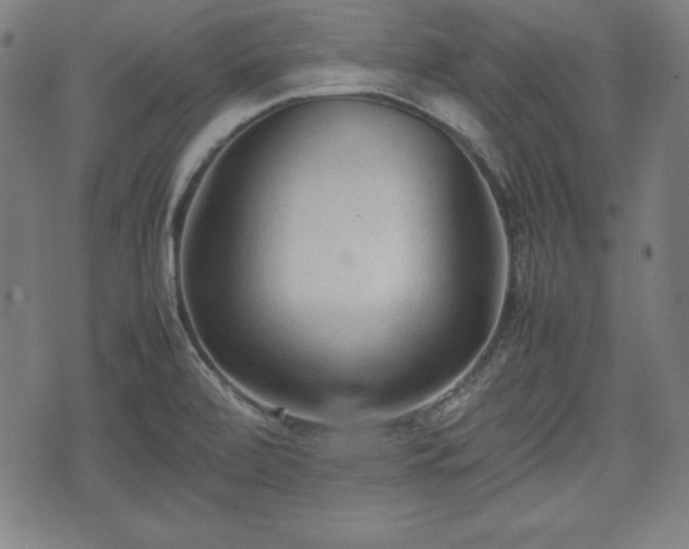 X0000074931472200609081313