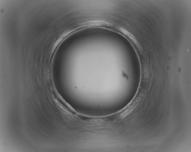 X0000074931473200609081313