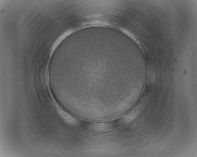 X0000074931474200609081313