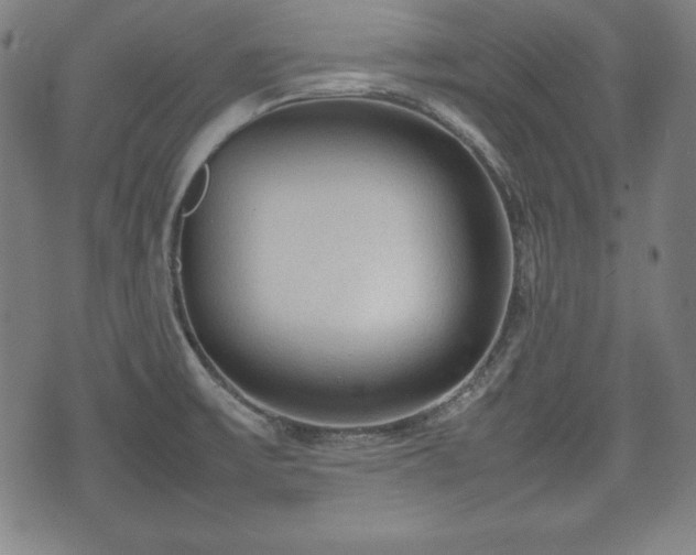 X0000074931475200609081313