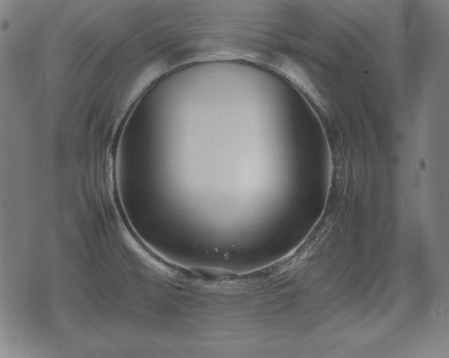 X0000074931476200609081313