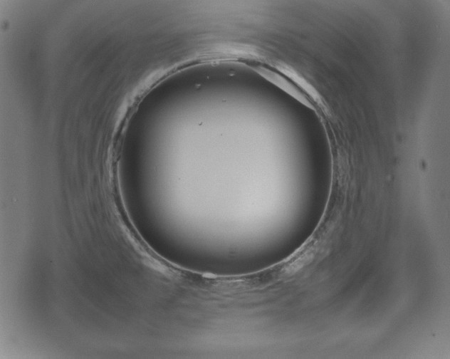 X0000074931477200609081313