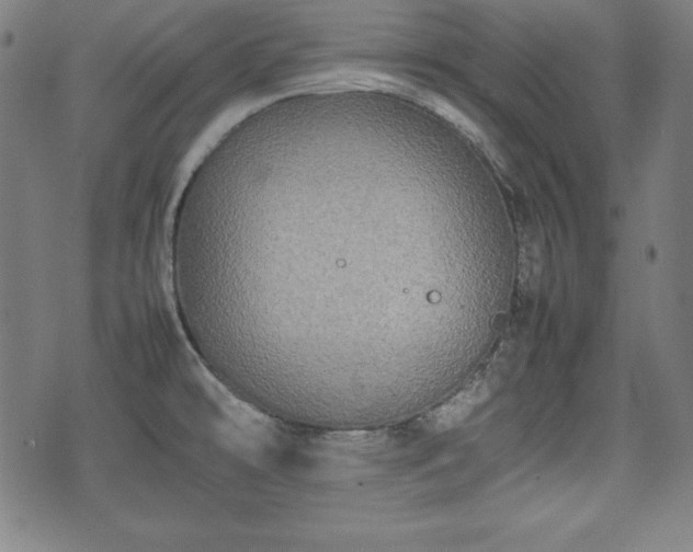 X0000074931478200609081313