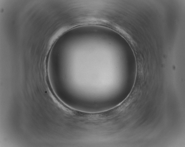 X0000074931479200609081313