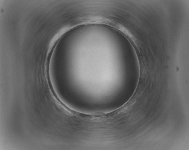 X0000074931480200609081313