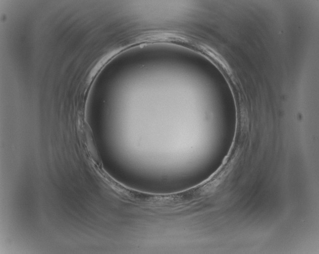 X0000074931481200609081313