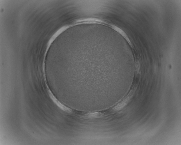 X0000074931482200609081313