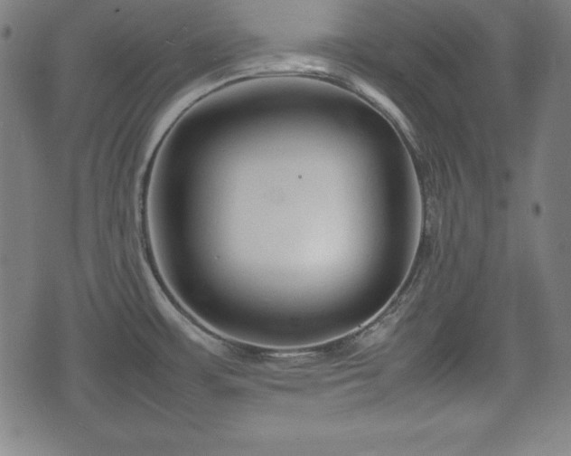 X0000074931483200609081313