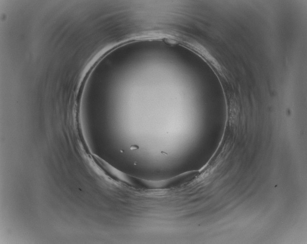 X0000074931484200609081313