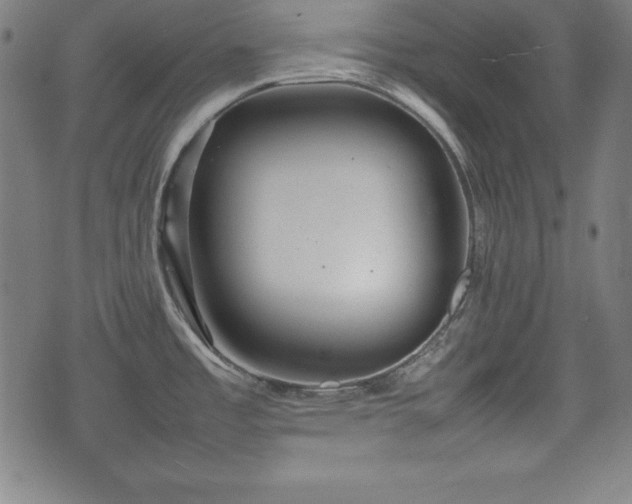 X0000074931485200609081313