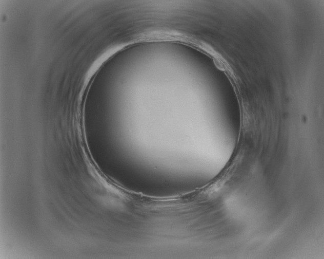 X0000074931486200609081313