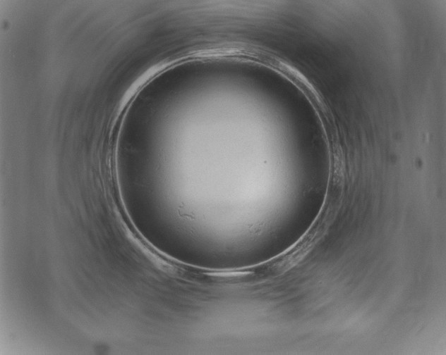 X0000074931487200609081313