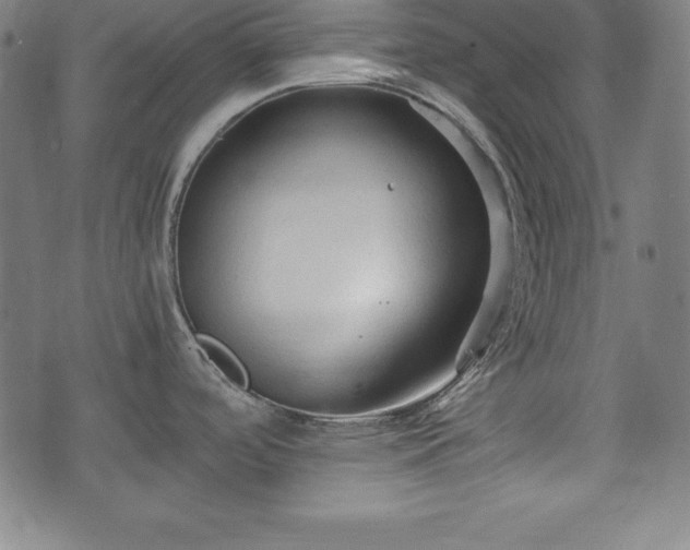 X0000074931488200609081313