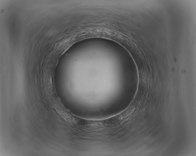 X0000074931489200609081312