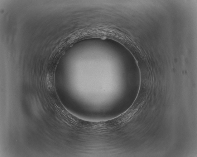 X0000074931490200609081312