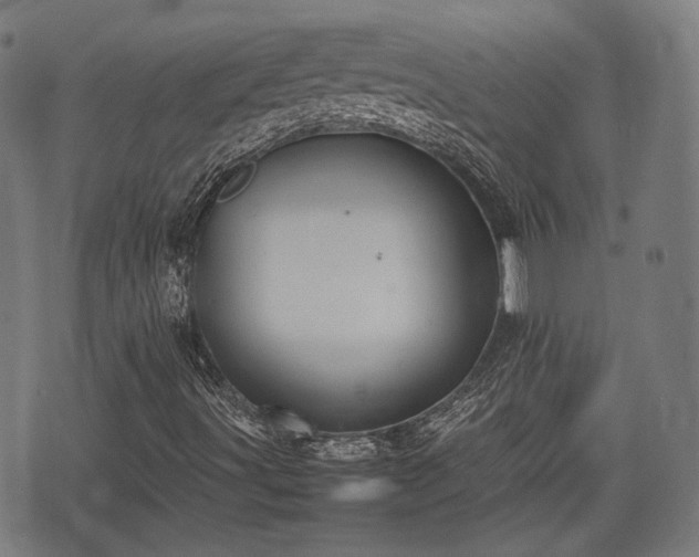 X0000074931491200609081312