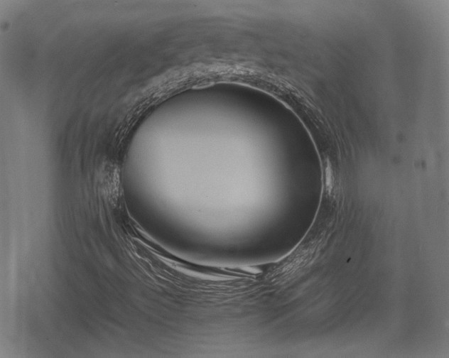 X0000074931492200609081312