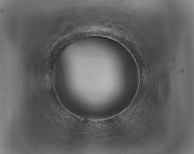 X0000074931493200609081312