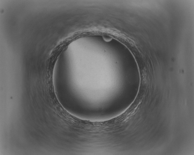 X0000074931494200609081312