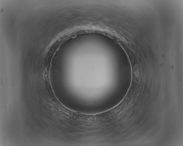 X0000074931495200609081312