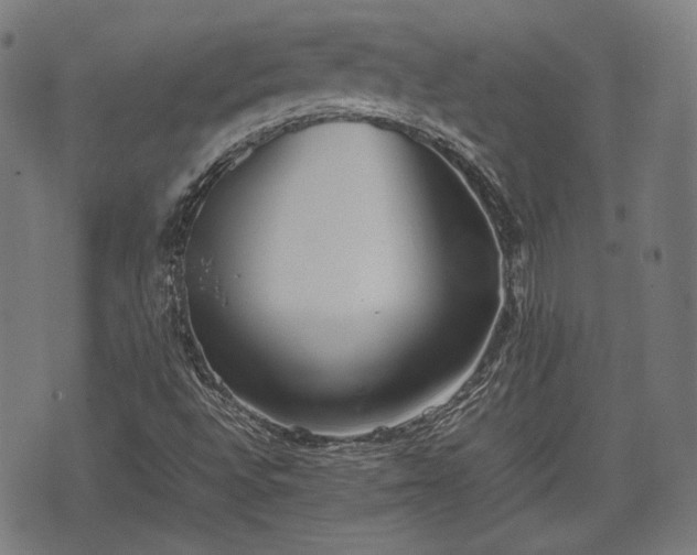 X0000074931496200609081312