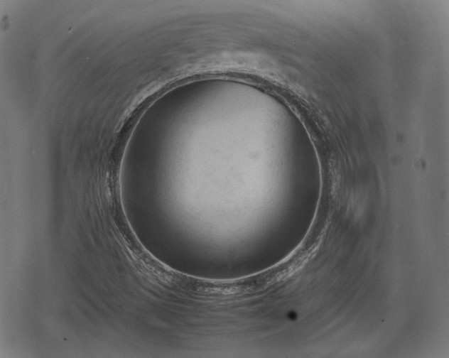 X0000074931497200609081312