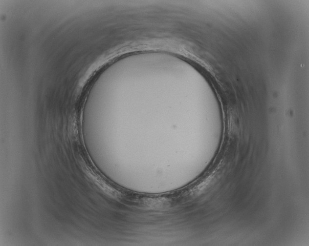 X0000074931498200609081312