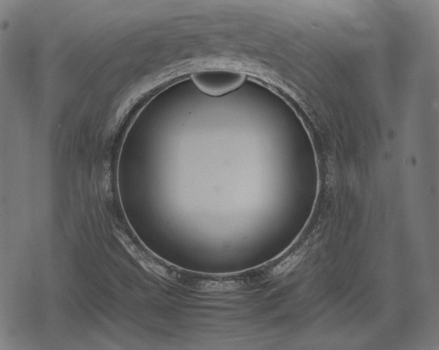 X0000074931499200609081312